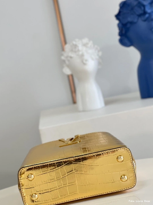Fake Louis Bags CAPUCINES LOUIS MINI VUITTON 0801